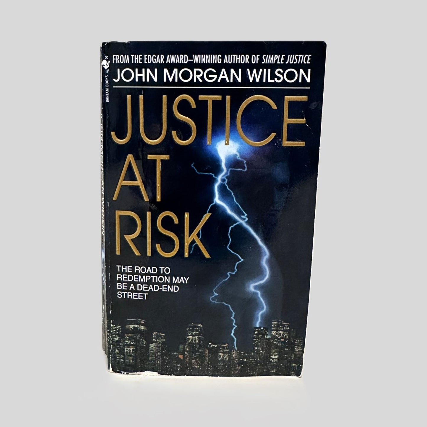 Justice at Risk by John Morgan Wilson