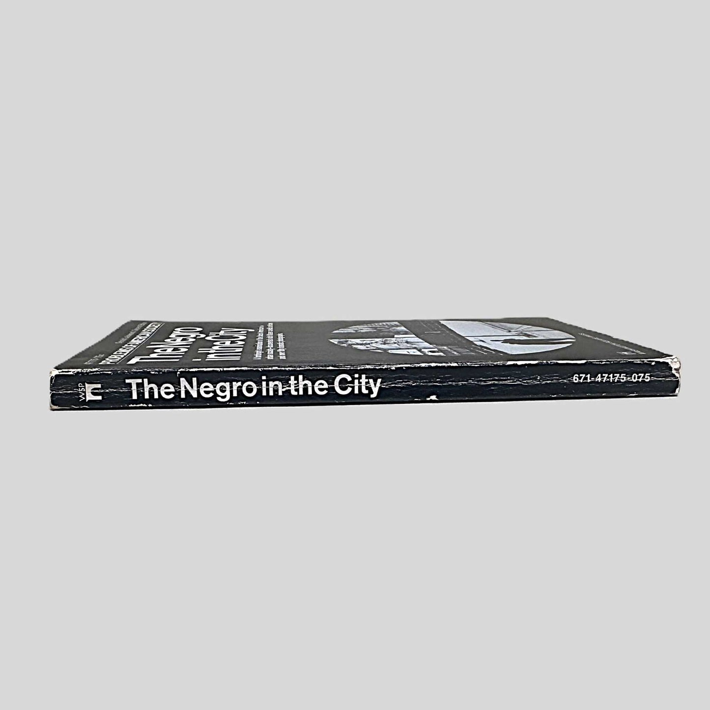 The Negro in the City by Gerald Leinwand - Fehmerling Books