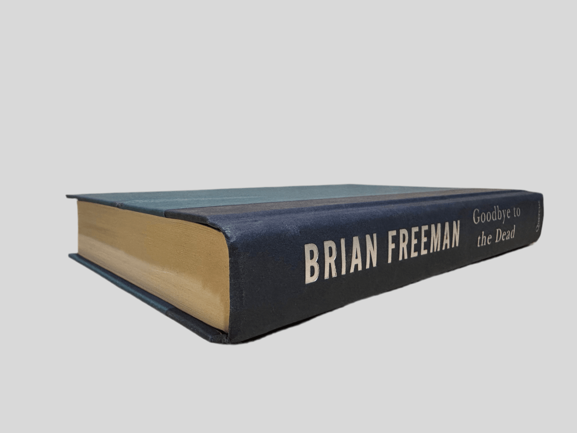 Goodbye to the Dead by Brian Freeman - Fehmerling Books