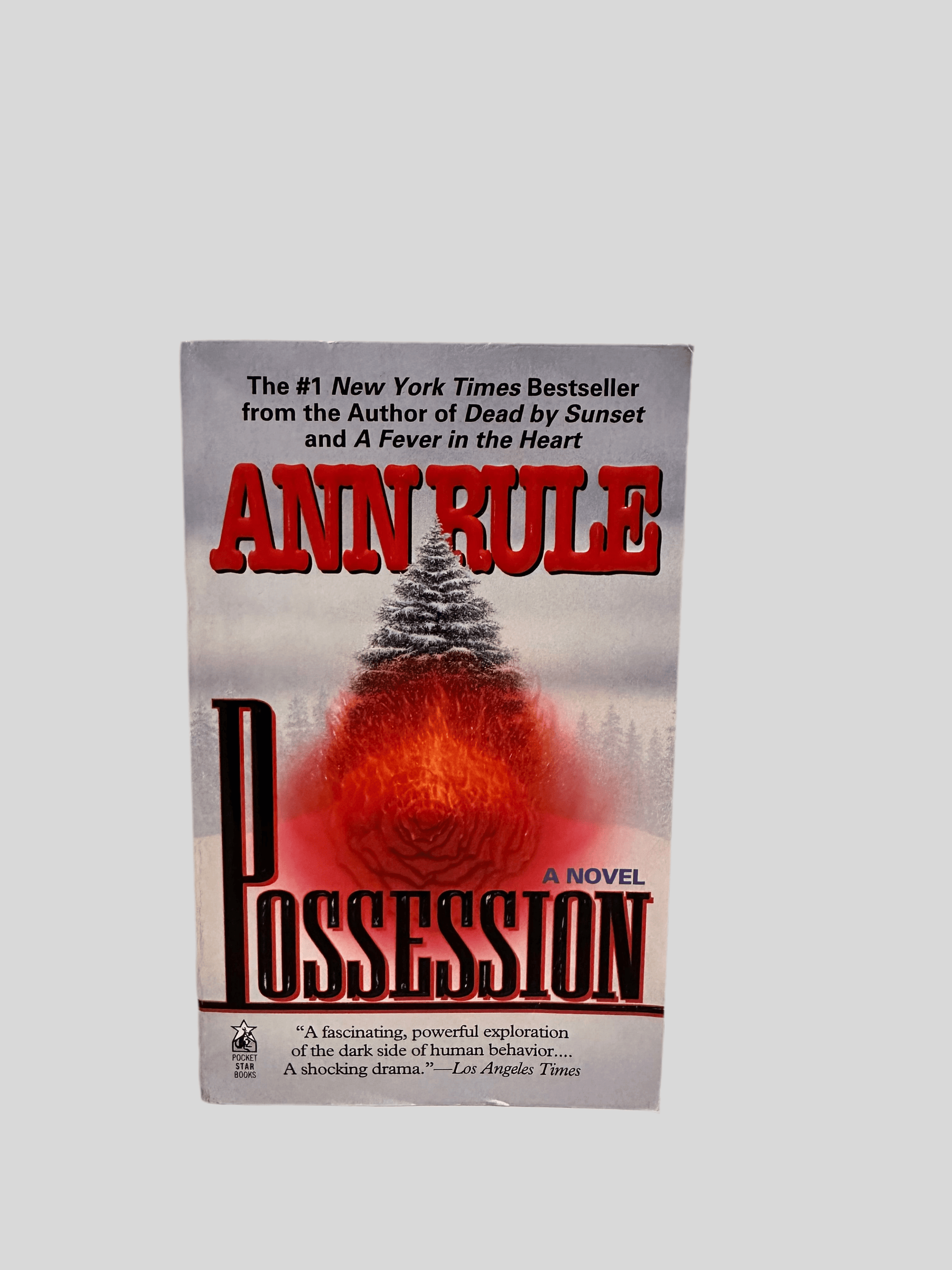 Possession by Ann Rule - Fehmerling Books